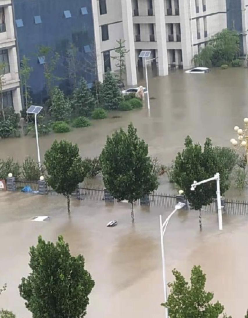 郑州的真实情况,河南郑州真实视频