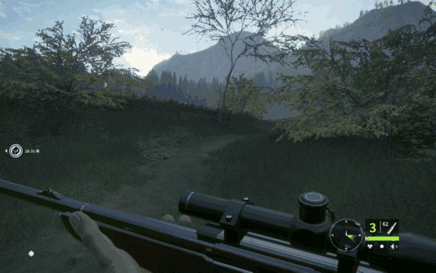 猎人荒野的呼唤游戏发展史,猎人荒野的呼唤选338还是300