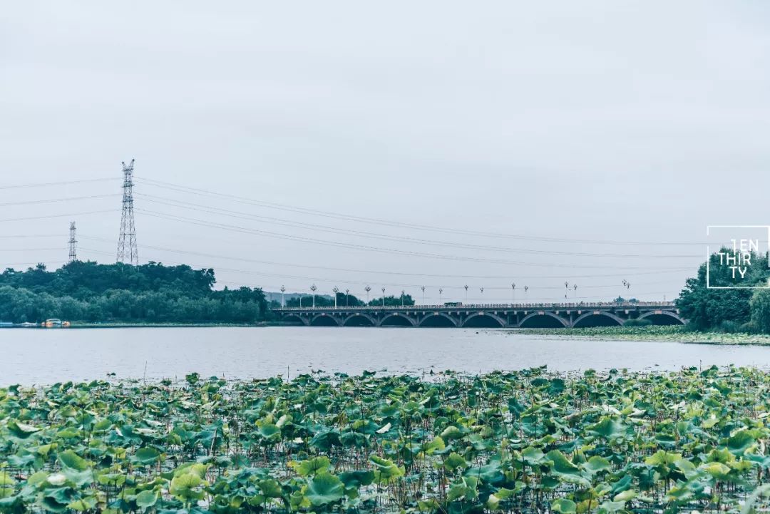 武汉冷门自驾免费景点,武汉旅游景点免费预约