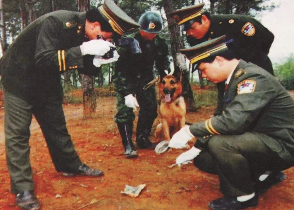 横行陕豫的杀人狂魔，身高只有1.58米，却做出了中国甚至世界少有的连环大案