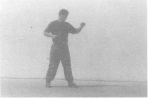 警用防暴棍对战短刀,警用棍式防暴器