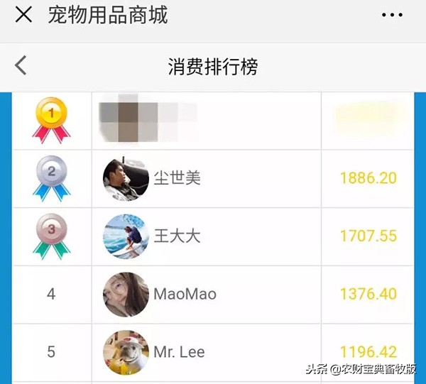 大学生宿舍养猪被发现遭通报批评,大学宿舍养猪