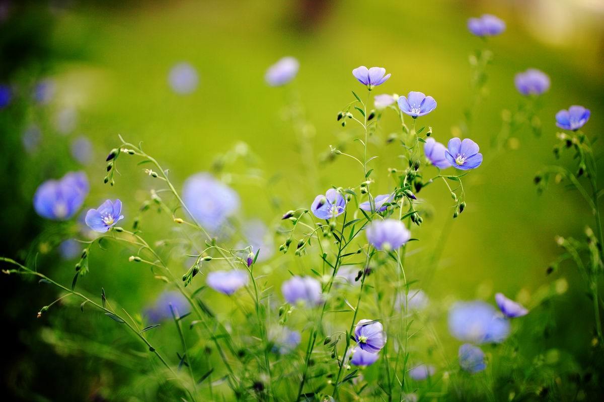 当别人诋毁自己,当别人诋毁你应该怎么办