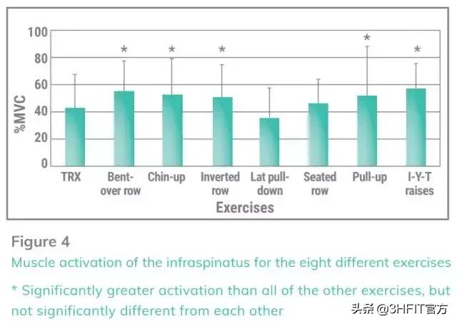 最好的背部训练动作是什么,最好的背部训练动作绳索划船