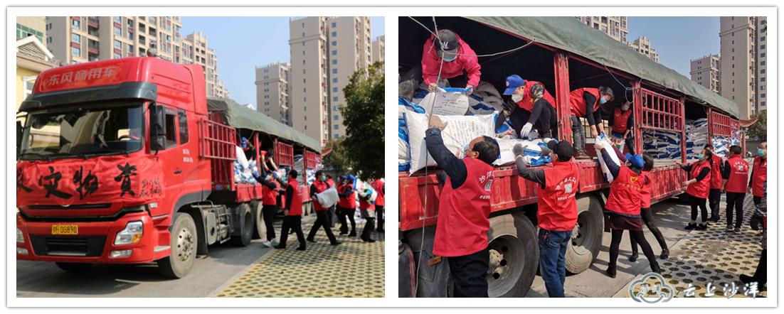 沙洋志愿者招募,青春沙洋致敬每位疫情防控志愿者