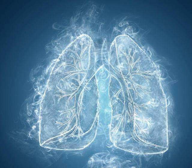 大丈夫能屈能伸宁折不弯,大丈夫能屈能伸没什么事不能忍的