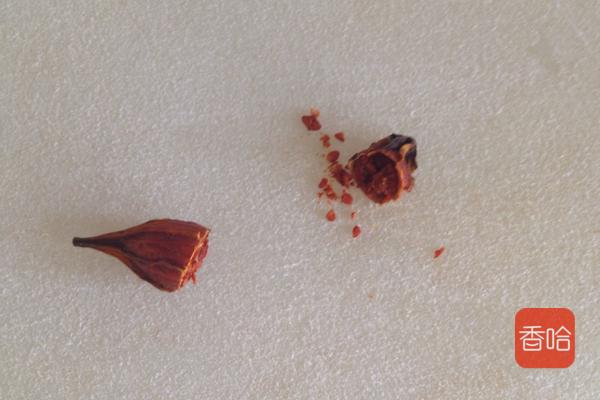 盐焗鸡翅的三种做法,用盐来焗鸡翅怎样做