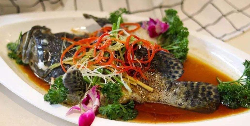 紧急通知：这些名门望族“石斑鱼，七星鱼”全都不能吃