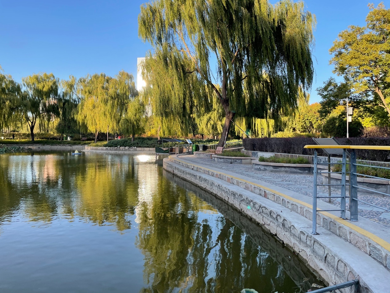 iphone12最佳入手时间下半年,iphone12性能更强拍摄更出色