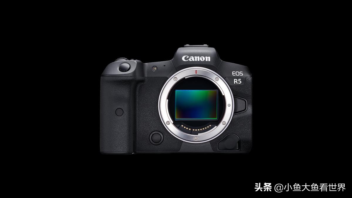 数码相机挑战,2021数码相机市场