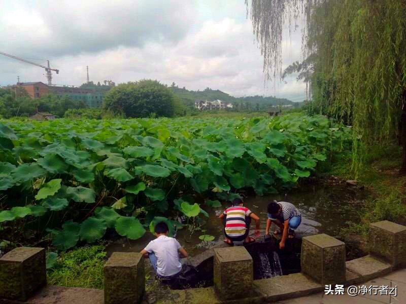 长江第一古镇李庄,长江第一城李庄古镇一日游