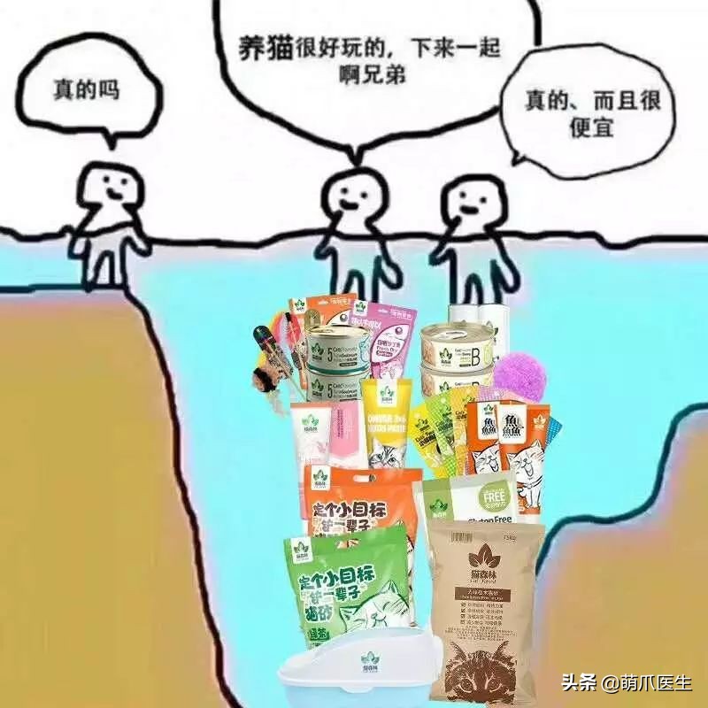 我靠美食养猫发家致富txt,月入三千也能养猫