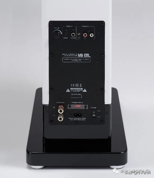 来自丹麦的优雅纤细ScansonicHDM9落地喇叭