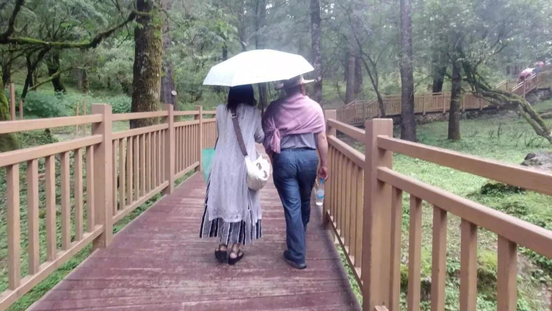 背上小猪去旅行（第一季）自驾穿越中国｜雪山的遗憾