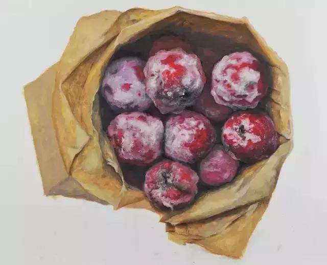 素描绘画要用什么笔好,素描绘画可以画什么