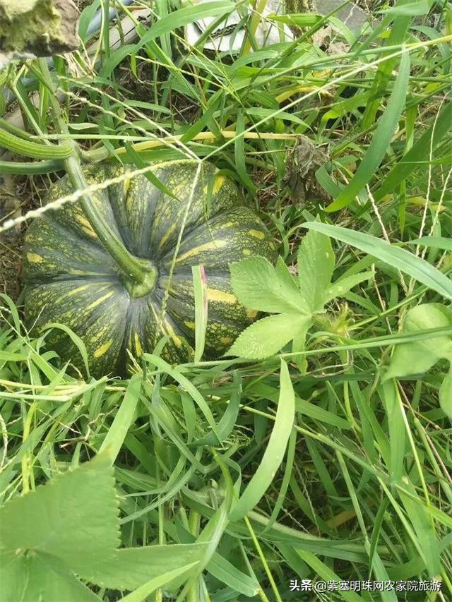 天津蓟县小穆回民农家院,蓟县小穆回民山庄