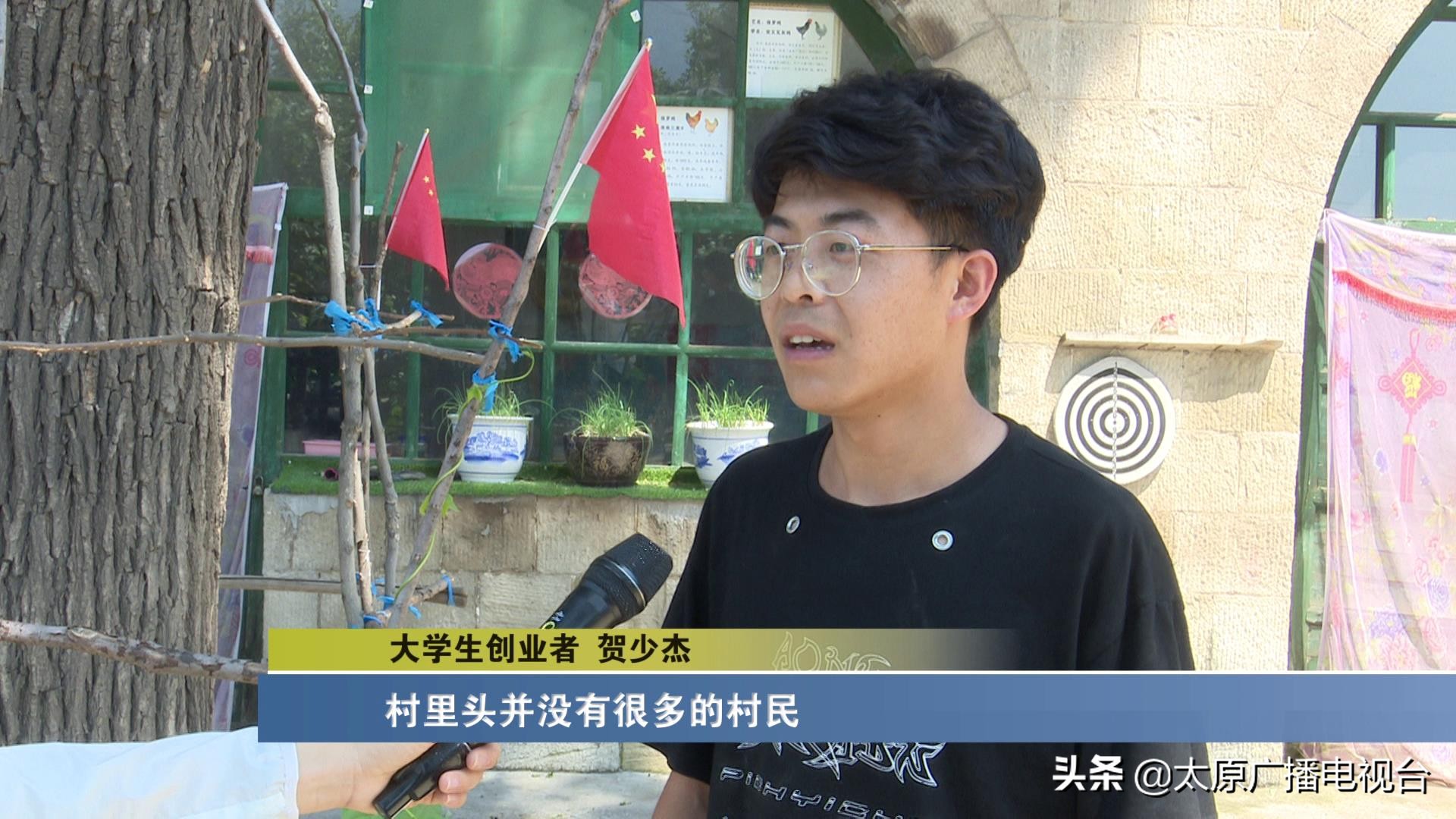 乡村振兴!太原要子庄村“绿”土地长出“金娃娃”