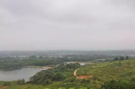 攸县大同桥罗家潭抖音视频,攸县乡村文化景点