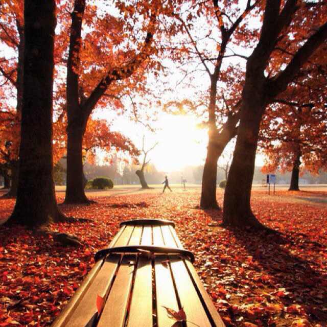 男篮世界杯后该何去何从,世界杯男篮结束