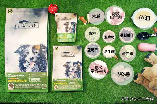 livinwild,livinwild閲庡