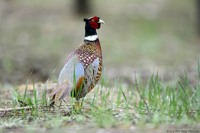 适合90后的创业项目,适合90后创业的项目小生意