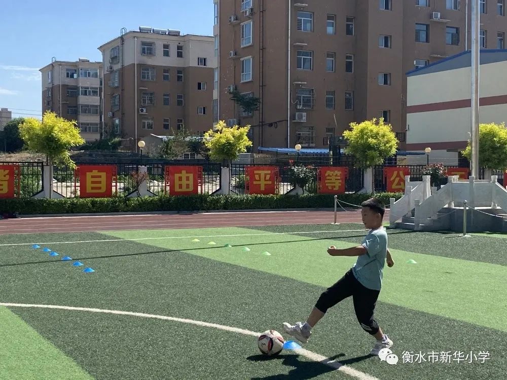 社团活动小学兴趣小组,新华小学三年级参加兴趣小组