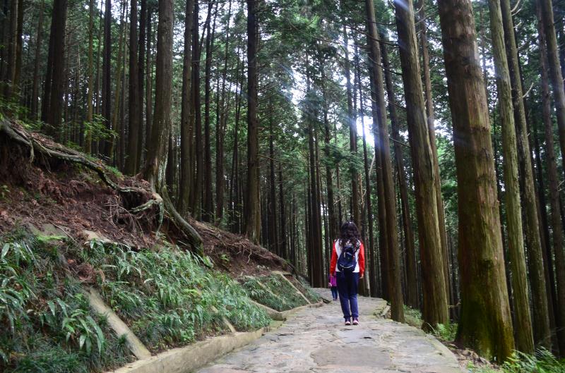庐山牯岭镇印象,庐山意境风景