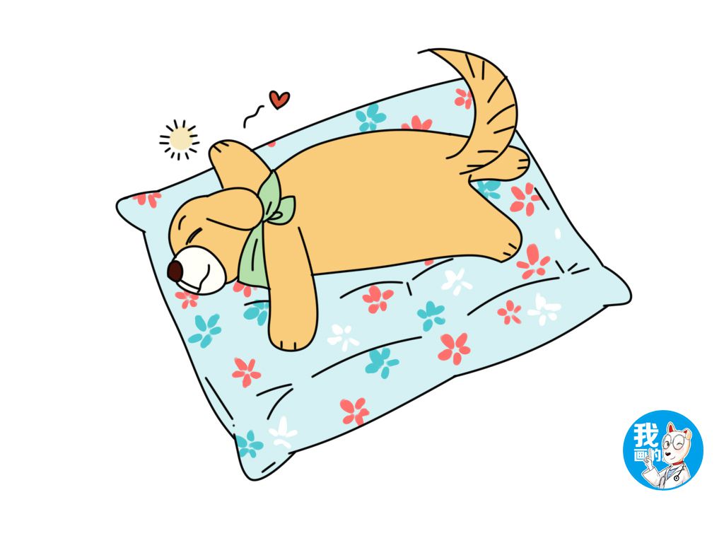 宠物冰垫安全,宠物冰垫有没有毒