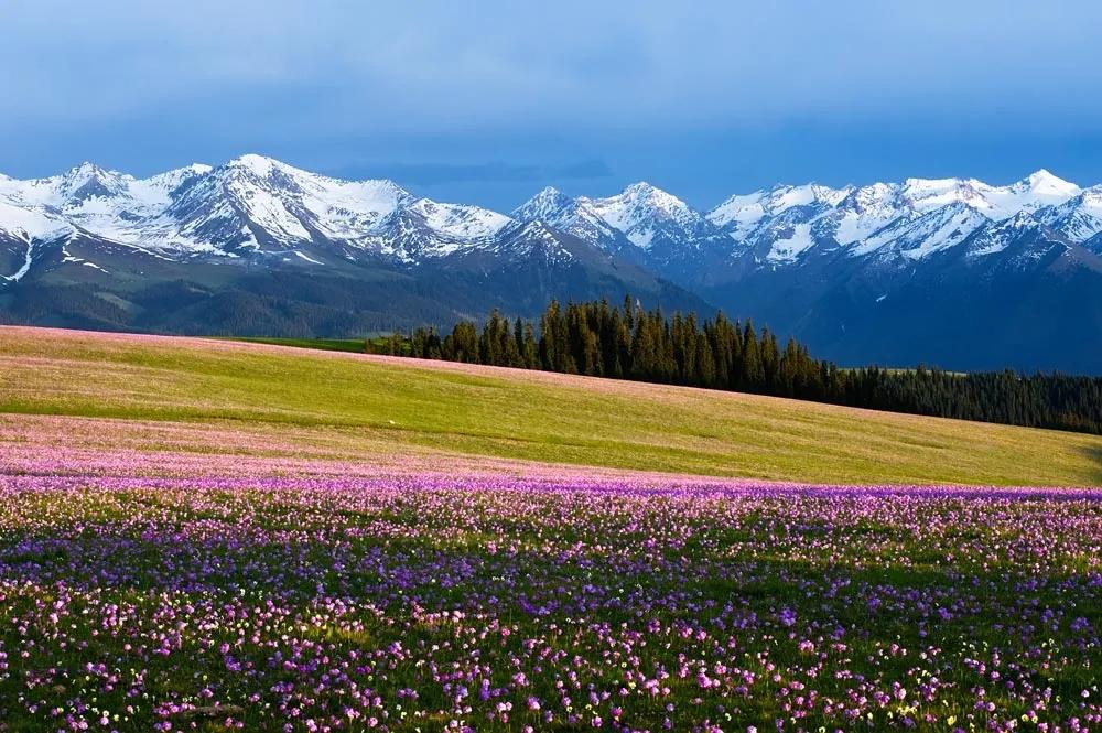 人生必走的经典户外线路,中国最虐的徒步线