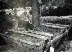 大树移植恢复要几年,大树移植根部的处理