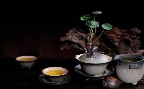 人生如茶少年时,请简要阐述茶圣陆羽的人生经历