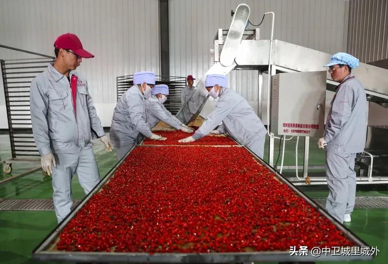 宁夏最穷人口最少的市,宁夏最富的县vs宁夏最穷的县