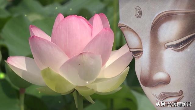 亡人不撞七是啥意思,逝去的人不犯七有什么说法