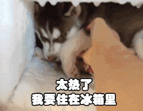 夏日空调房必备,夏日空调房必备好物选它就对了