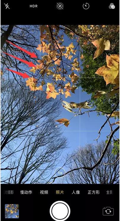 秋色正艳|掌握这6个小技巧，教你拍出绝美秋景