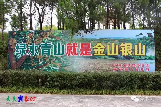 城建频道丨福建长汀发生“蝶变”的背后：用绿色赶跑贫穷廖深洪接受央广国际在线专访……