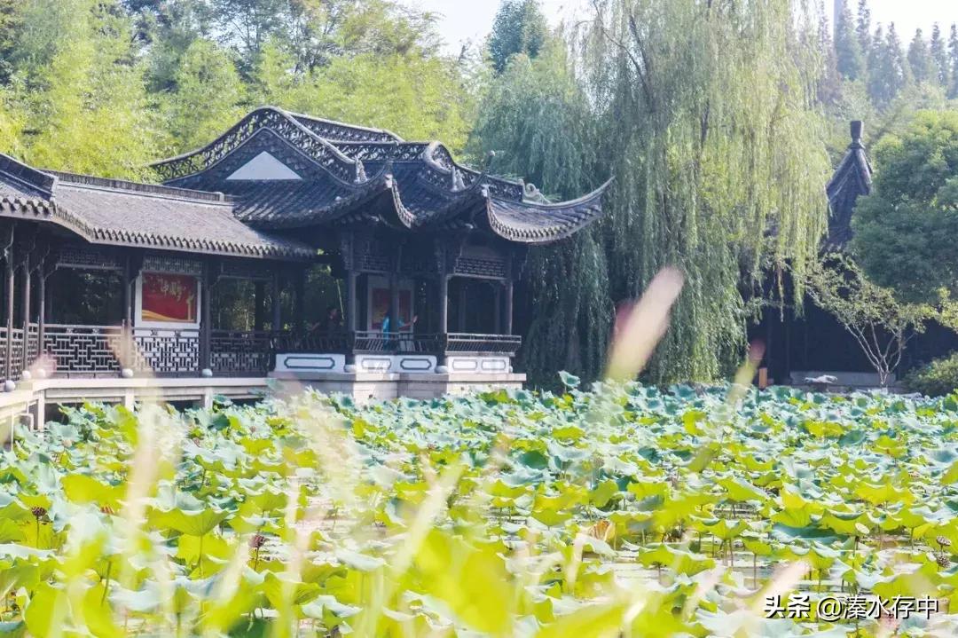姜堰好吃又好玩的地方,56张美景图片大饱眼福