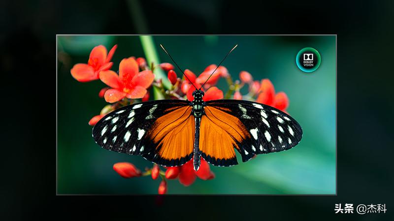 杜比视界hdr10蓝光机,杜比视界hdr60帧和30帧区别大吗