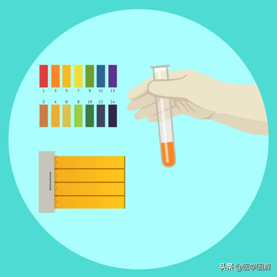 精子检测的结果怎么看懂,精子检测报告如何看懂