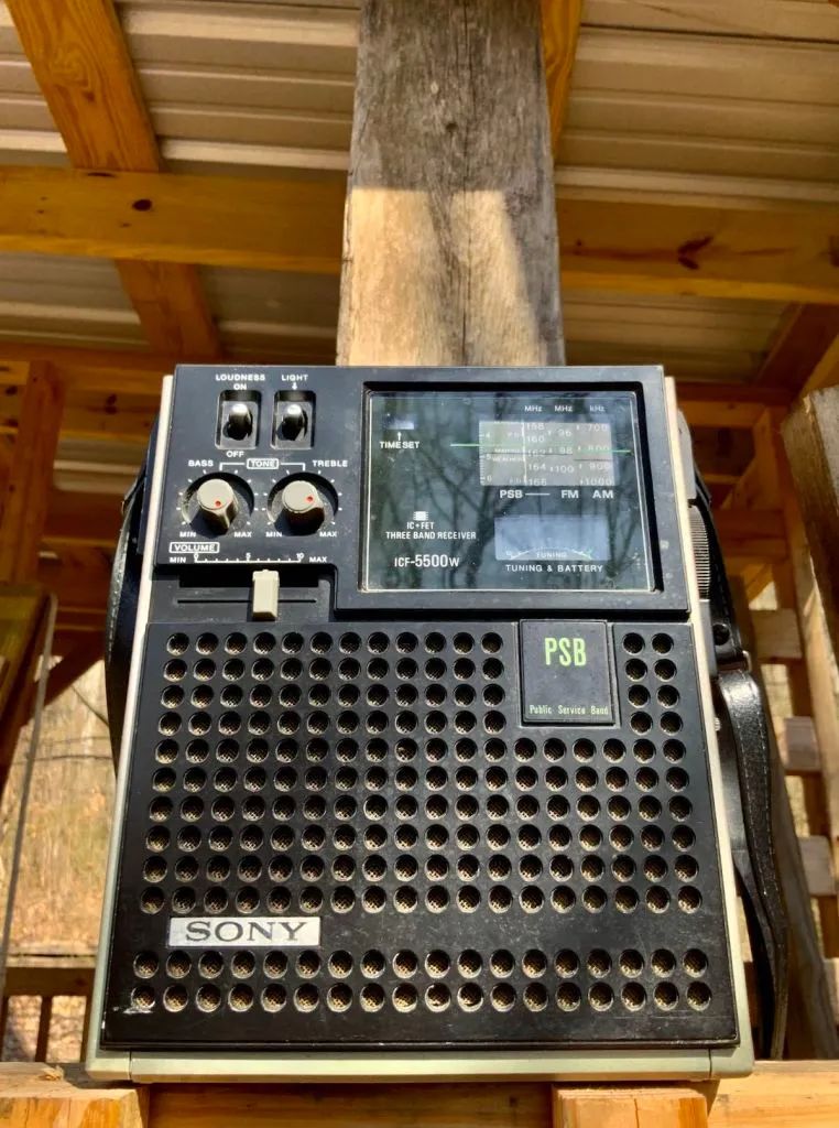 在隔离期间找到好多惊喜旧物,在隔离的这段日子里