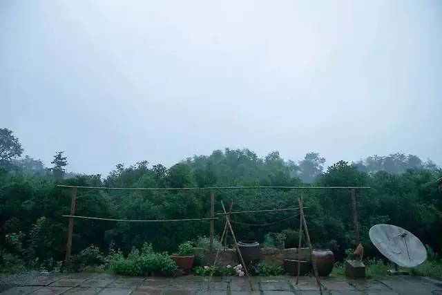 十年前的美女主播去哪了,十年前离开央视的女主持人