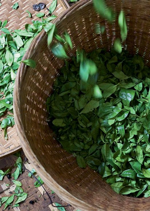 惠明茶是什么茶叶,惠明茶的历史渊源及产地环境