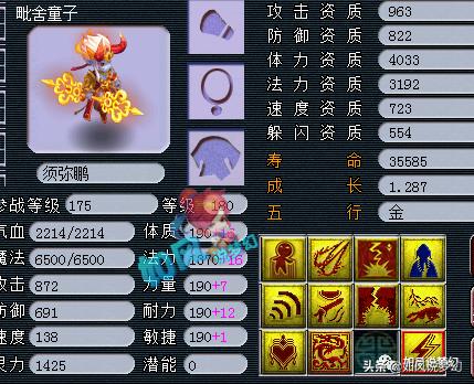 梦幻西游涛哥五开号展示,梦幻西游珍宝阁涛哥五开估价