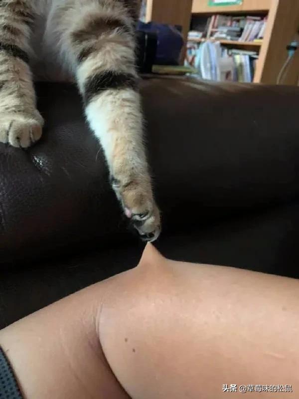 英国首相得新冠是真的吗,英国首相新冠反应