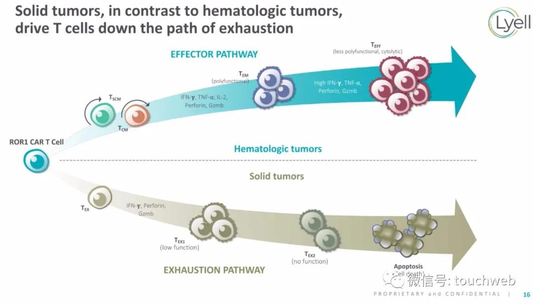 肿瘤免疫治疗公司Lyell冲刺美股：年亏2亿美元路演PPT曝光