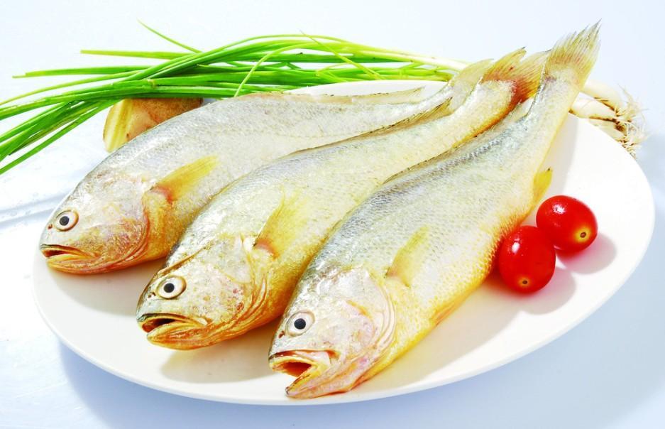 鲍参翅肚哪种好吃,鲍参翅等高档菜肴必点