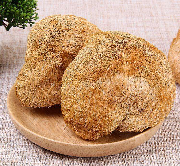 猴头菌的功效,药材猴头是指