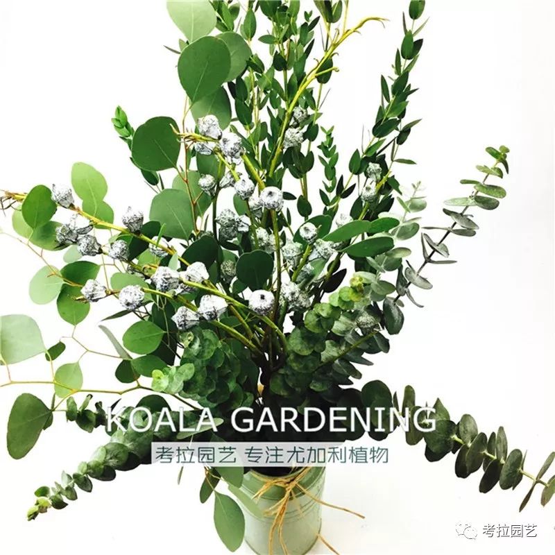 大地的恩赐图片,大地的馈赠是大天域吗