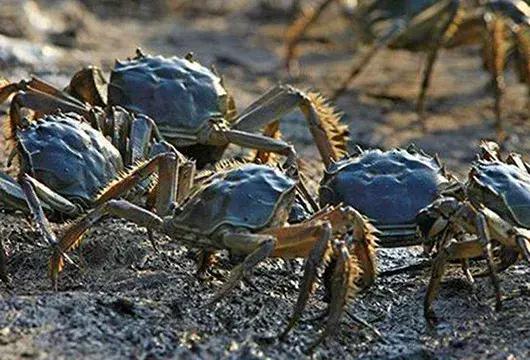 首届斗地主争霸大赛等你来战,斗地主海选赛直播