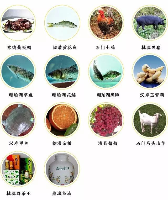 湖南隐藏款土特产有哪些,湖南受保护特产